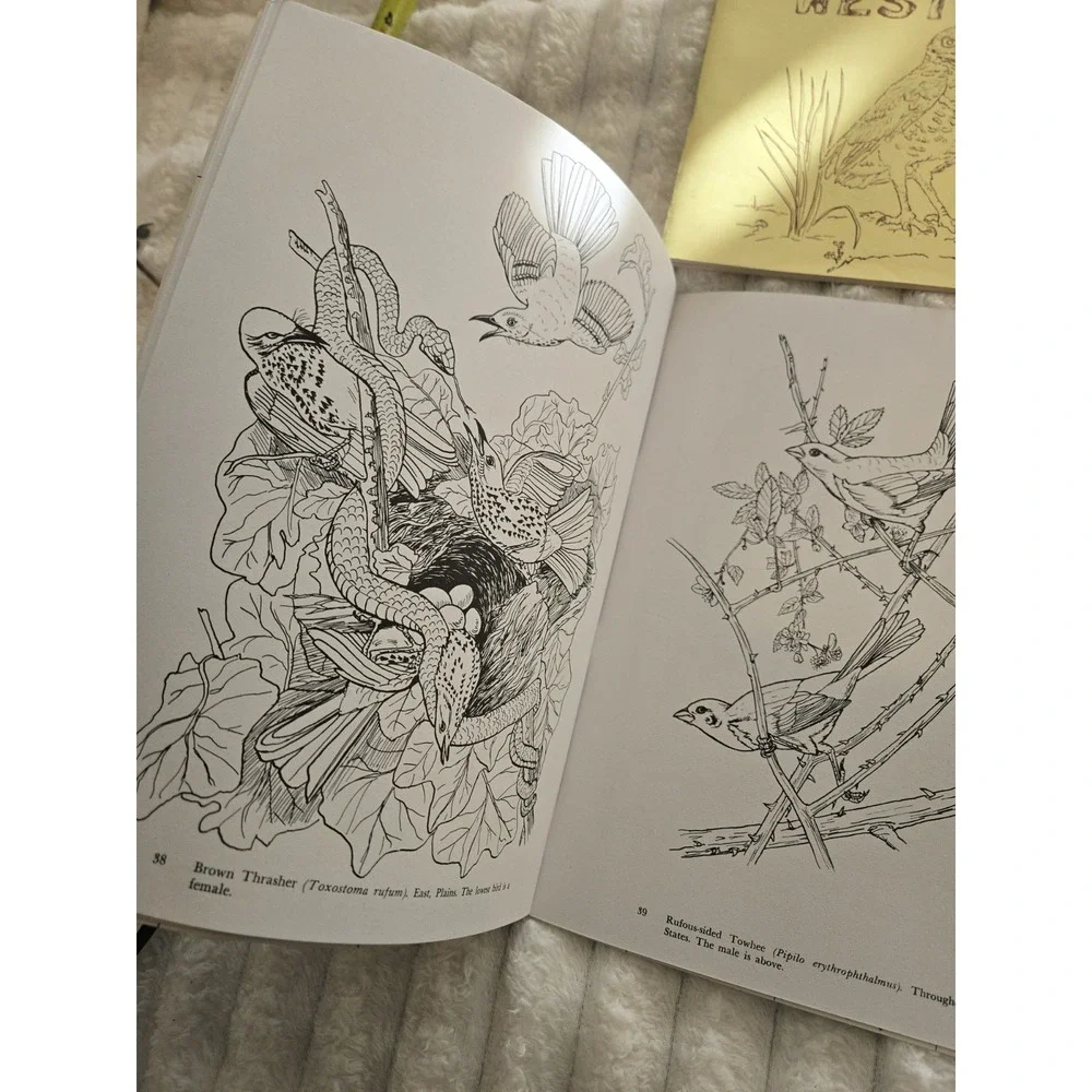 4 Nature Coloring Books Florida Audubon's Birds Everglades West Wildlife Gift